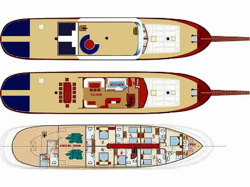 Gulet Barba - Barba  - Layout image