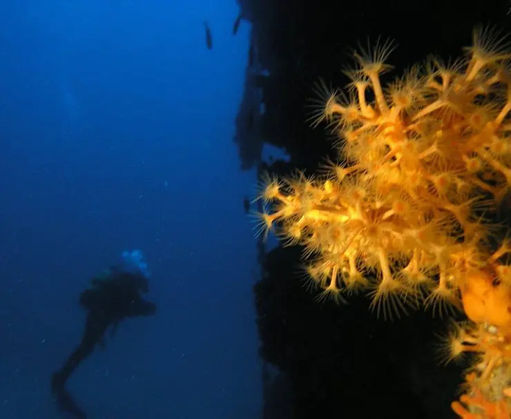 Kornati Diving Route